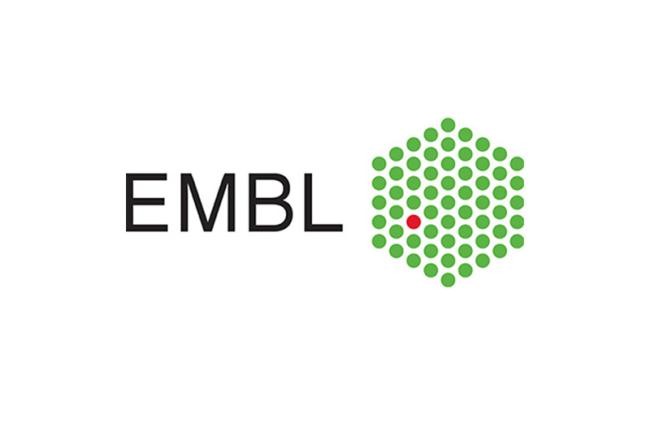 EMBL Logo (Copyright: EMBL)